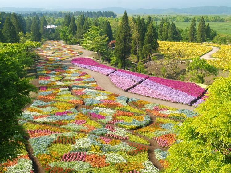 赤川温泉スパージュ-Spaju Taketa Esterno foto