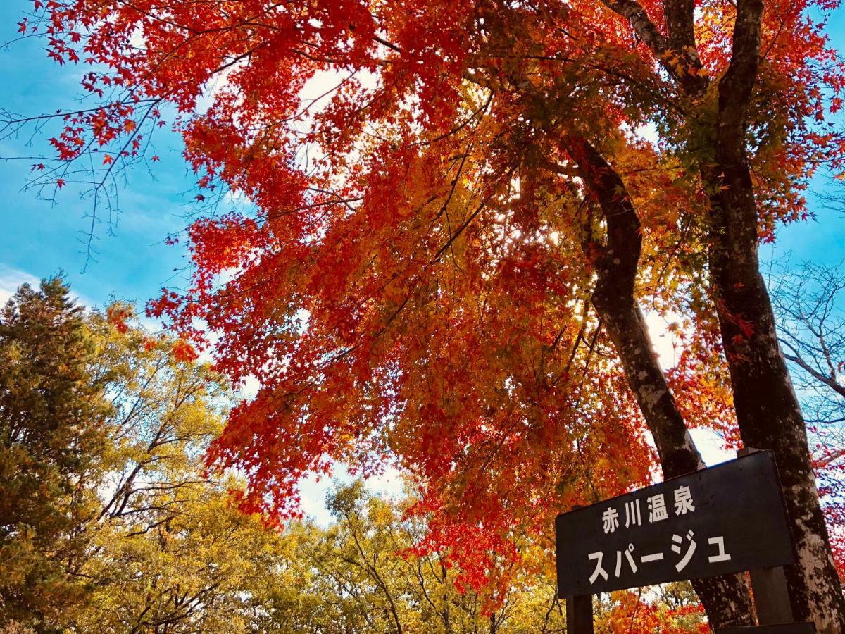 赤川温泉スパージュ-Spaju Taketa Esterno foto